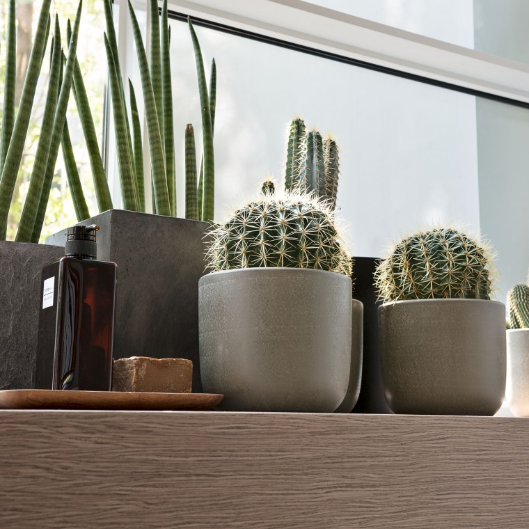 Različne rastline na okenski polici