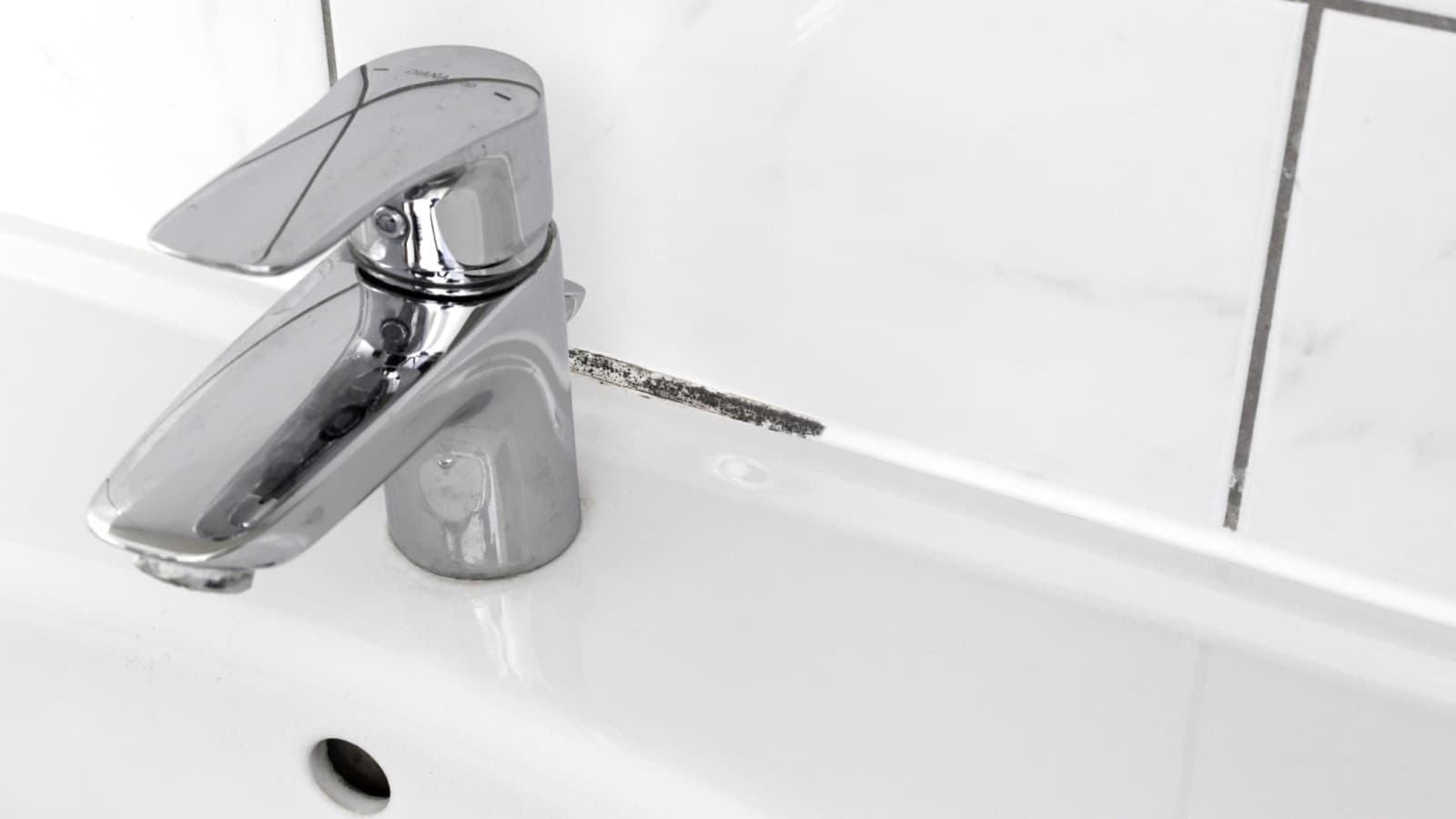 Plesen v fugah kopalnice Plesen v fugah kopalnice